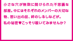 小さな穴が無数に開けられた不思議な部屋。中にはそれぞれのメンバーの大切な物、思い出の品、絆のしるしなどが。私の秘密♥こっそり覗いてみませんか？