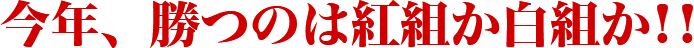 今年、勝つのは紅組か白組か!!